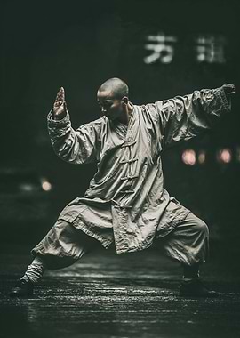 Shaolin Monk Martial Arts Stance