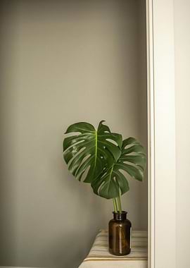 Monstera leaves in a brown vase