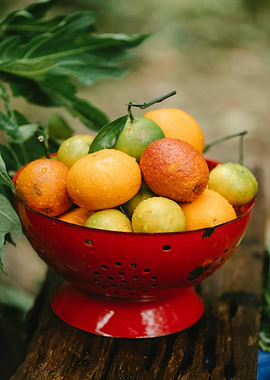 Citrus fruits in a red colander