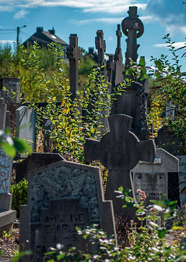 Overgrown Cemetery with Celtic Crosses