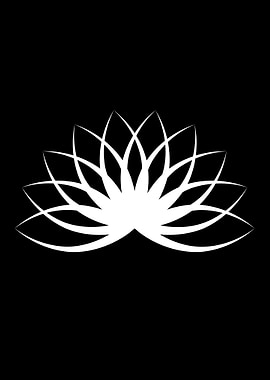 White Lotus Flower