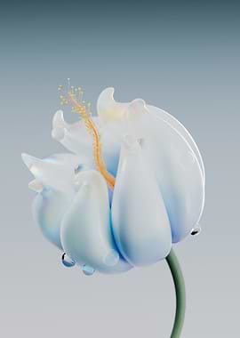 Abstract Flower with Water Droplets