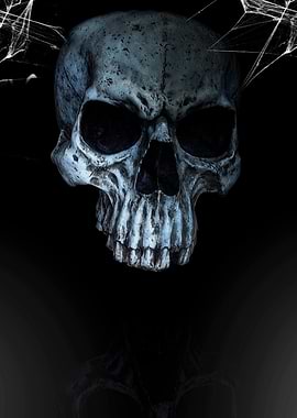 Skull with Cobwebs on Black Background