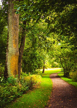 Path through lush summer greenery at Strömsholm, Sweden