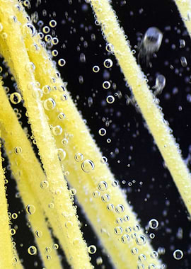 Spaghetti underwater with bubbles