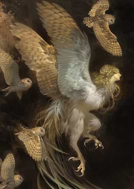 Harpy and Owls in Flight