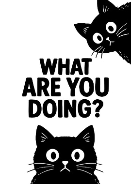 Black Cats Questioning What Are You Doing