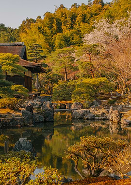 Japanese Garden with Pond and Temple