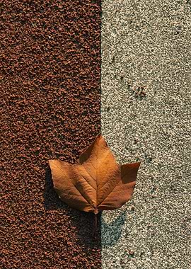 Autumn Leaf on Textured Surface