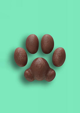 Brown Cat Pawpads against a Minty Teal Background