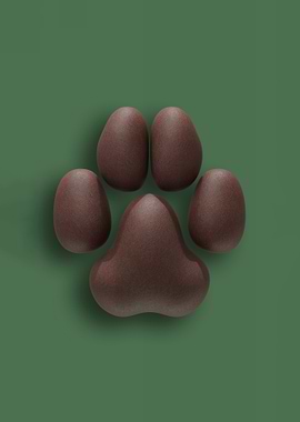 Brown Dog Pawpads against a Deep Green Background