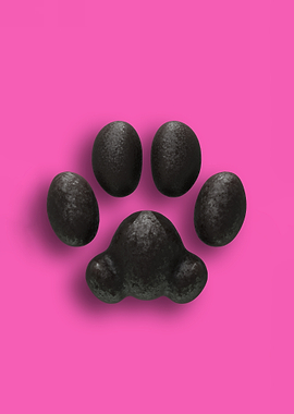Black Cat Pawpads against a Bold Pink Background