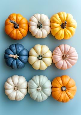 Colorful Pumpkins on Blue Background | Minimal Fall Decor