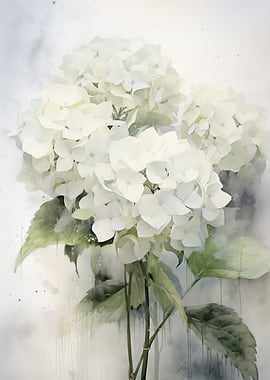 White Hydrangea Painting