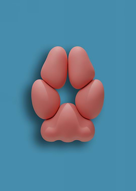 Pink Fox Pawpads against a Soft Blue Background