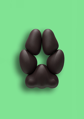 Dark-Brown Fox Pawpads against a Soft Green Background