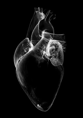 Anatomical Heart - Digital Art