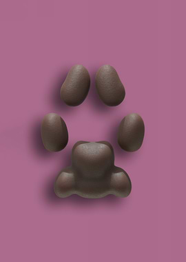 Brown Caracal Pawpads against a Soft Pink Background