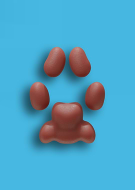 Dark-Pink Caracal Pawpads against a Soft Blue Background