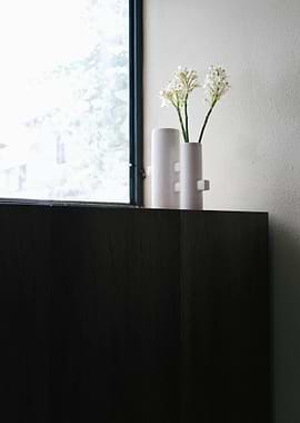 Minimalist Vases with White Flowers