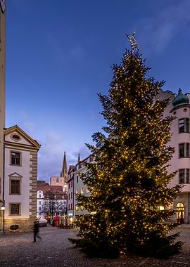 Christmas Tree in European City Square