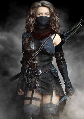 Female Ninja Warrior with Swords