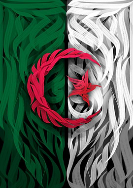 Algeria Flag Art