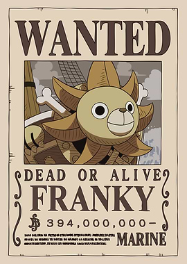 Franky Wanted after Wano