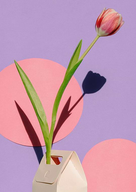 Tulip in a vase with circles