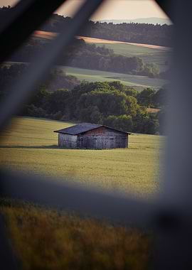 Barn in Field Framed by Structure