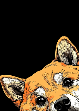 Peeking Shiba Inu Illustration