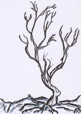 Bare Tree Sketch