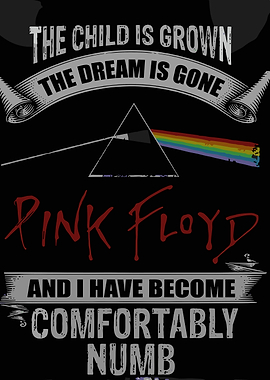 Pink Floyd Comfortably Numb Graphic