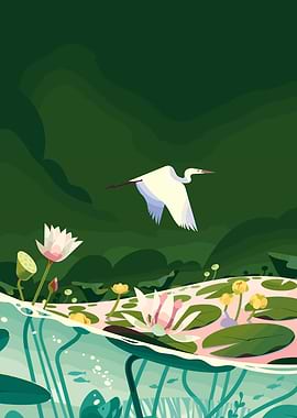 Egret Flying Over Lily Pond Illustration
