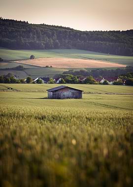 Barn in a field landscape