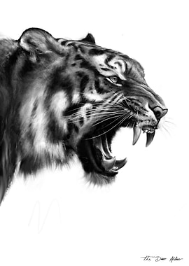 Roaring Tiger Black and White Portrait