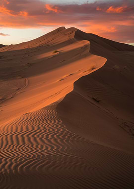 Desert Sand Dunes at Sunset