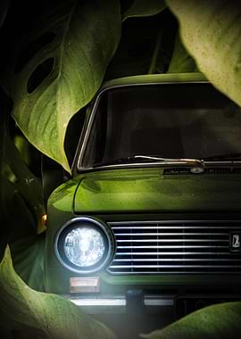 Urban Jungle Classic