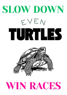 Slow Down Turtles Win Races
