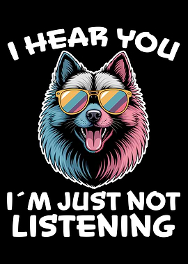 Keeshond Dog with Sunglasses - Not Listening