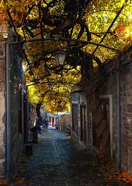Cobblestone Street with Tree Canopy, Molivos, Lesbos