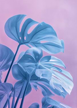 Monstera Leaves in Blue and Pink