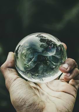 Crystal ball reflecting nature in hand