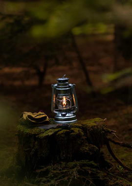 Lantern, Gloves, and Knife on Stump