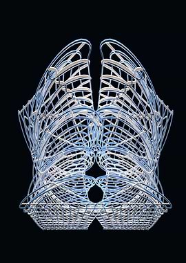AQUAMORPH SPECIMEN : IRIS [F:128]