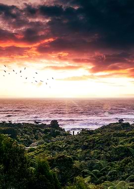 Sunset over the ocean with lush vegetation