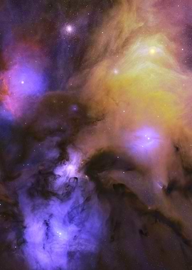 Rho Ophiuchi Molecular Cloud Complex