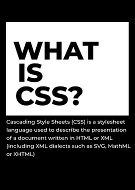 What is CSS? Black and White