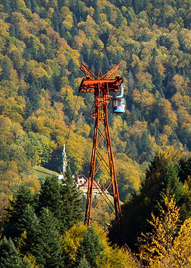 Cable Car in Autumn Forest