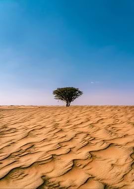 Lone tree in desert landscape